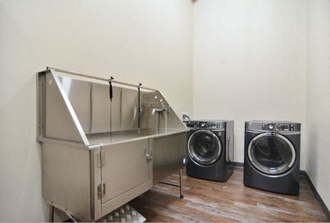 Orchard Crossing | Pet Wash Station